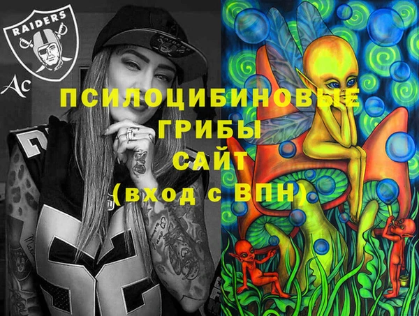 МДПВ Алексеевка