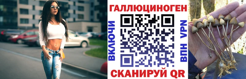 Псилоцибиновые грибы Psilocybine cubensis  где продают   ОМГ ОМГ ССЫЛКА  Калачинск 